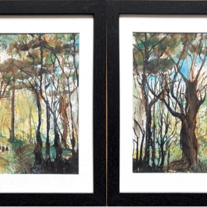 Into The Woods (1&2)