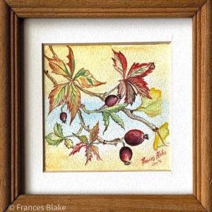 Botanic Study